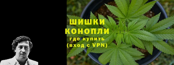 прущие грибы Бронницы