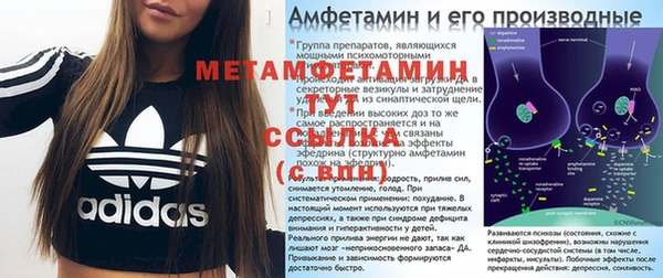 прущие грибы Бронницы