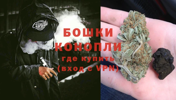 спиды Богородск