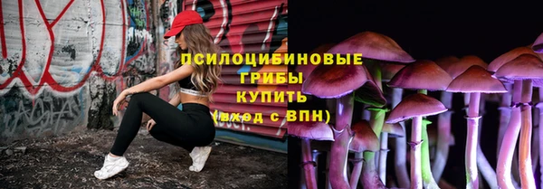спиды Богородск